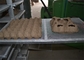 3 vassoio delle muffe 100kw che forma macchina per il vassoio industriale del pacchetto