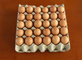 Macchina del vassoio dell'uovo della carta straccia, capacità dell'unità 1300pcs/h di fabbricazione del vassoio dell'uovo