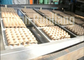 La carta straccia ricicla linea a macchina/automatica del vassoio dell'uovo della cartapesta dell'uovo del vassoio di produzione