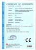 Porcellana Jinan Wanyou Packing Machinery Factory Certificazioni