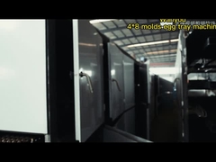 vassoio dell'uovo 380V/220V/Customized che fa macchina con alternanza e formatura rotatoria una garanzia da 1 anno