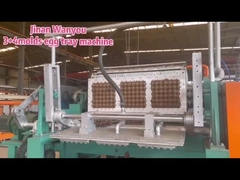 Macchina automatica per la produzione di vassoi di mele con stampi per formatura in acciaio inossidabile