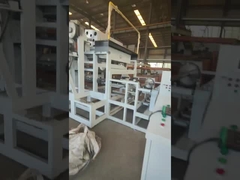 Linea di produzione vassoi per uova rotanti, capacità 2500-3000 pezzi/ora, stampaggio con 4+4 stampi