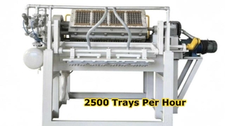 High Speed 2500 Pcs h Rotary Egg Tray Machine Testing