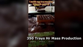Macchina per portauova Produzione di massa di 3000 pezzi ora
