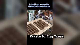 Automatic Egg Tray Machine 3000pcs/h Recycled Paper