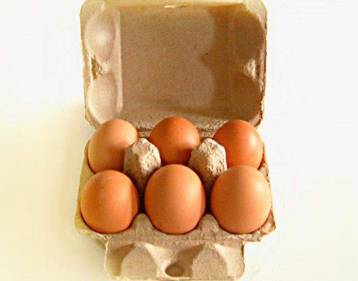 Linea di produzione su misura popolare del vassoio dell'uovo del cartone dell'uovo di 6 fori macchina della scatola delle uova