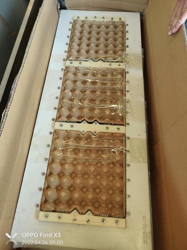 Linea di produzione di cartoni di uova a grande capacità completamente automatica 3*4