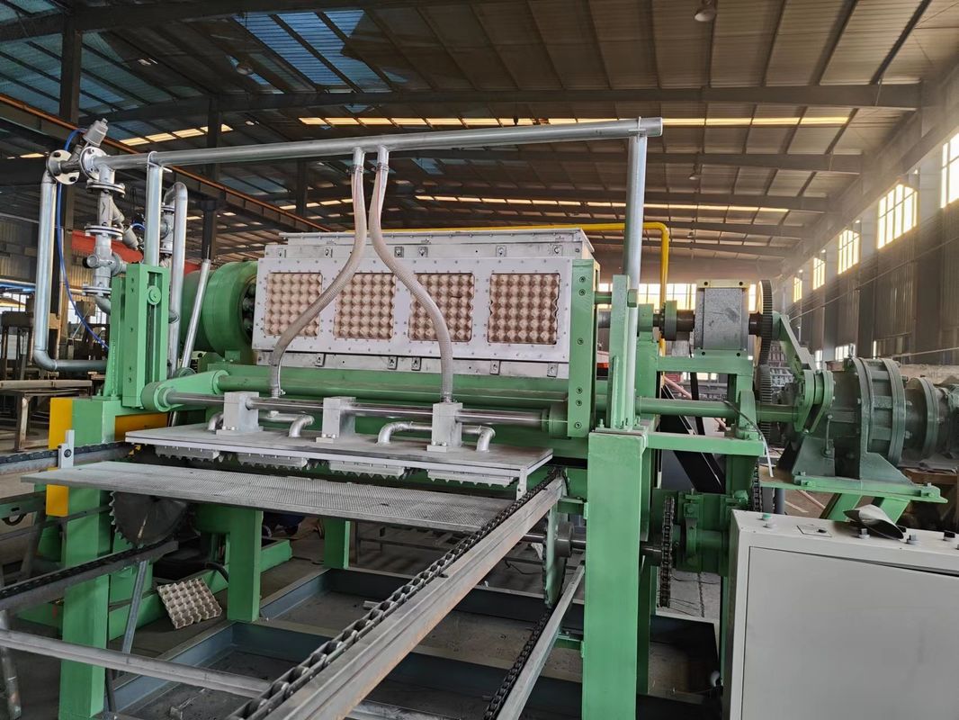 2500 pezzi/ora Macchina per vassoi portauova rotante con stampi 4*4 Controllo PLC e materiale stampo in plastica per la produzione di vassoi portauova