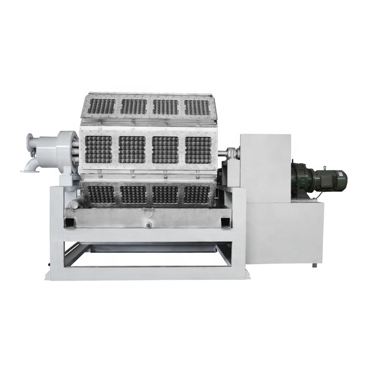 Macchine per il riciclaggio di carta automatico e completamente automatico vassoio per uova Struttura compatta Facile da usare Vari modelli di vassoio per carta