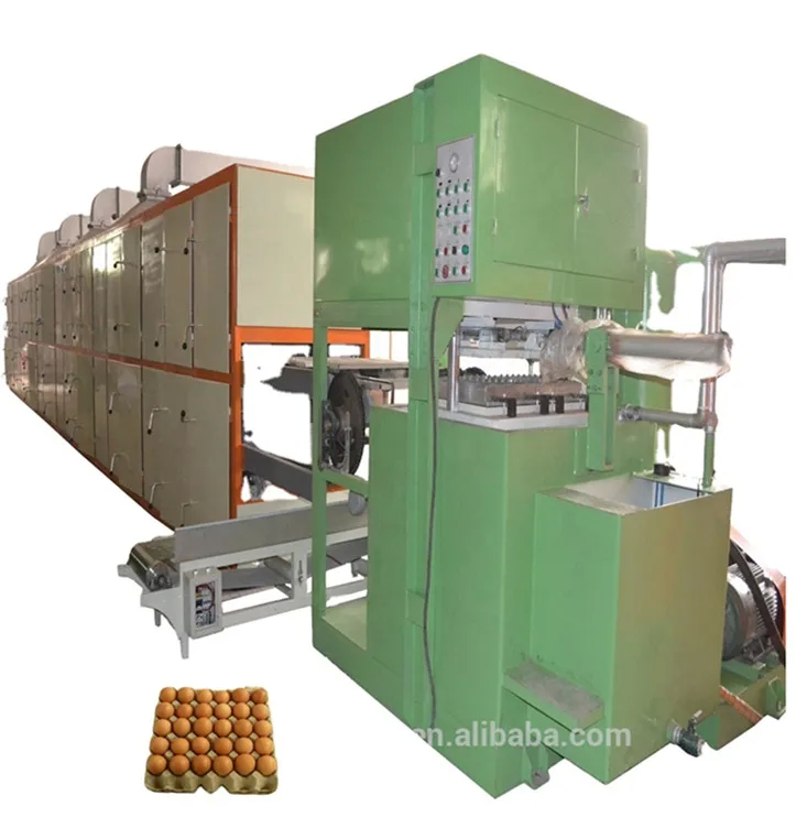 Linea di produzione di vassoi per uova di carta da rifiuti ecologica con formazione rotativa reciproca 45KW-200kw