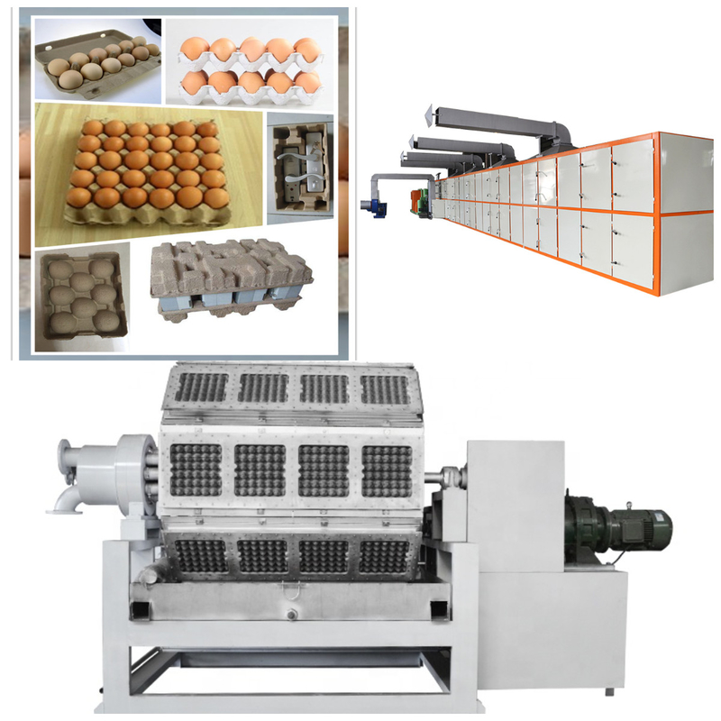 Macchina di produzione di vassoi di uova di carta innovativa e durevole per la produzione di cartoni di uova
