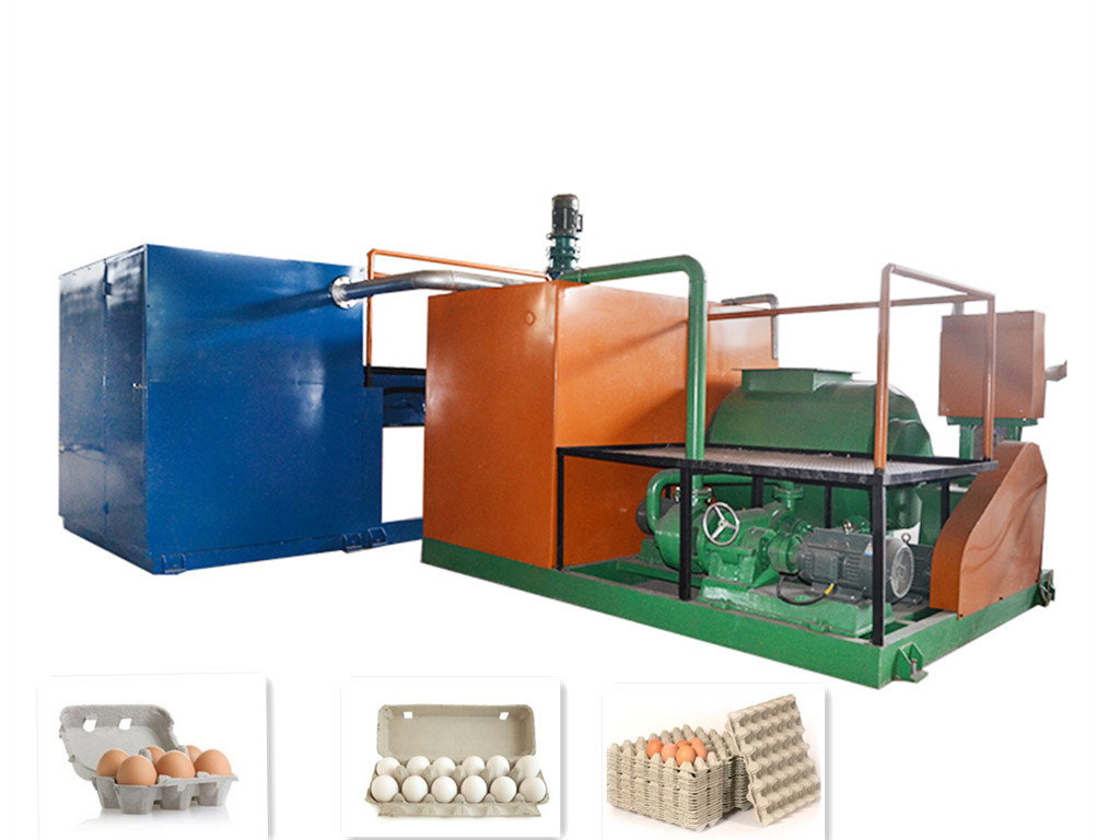 Dimensione del modello personalizzata Macchina per vassoio di uova per stampaggio di pasta di carta fonte di energia elettrica