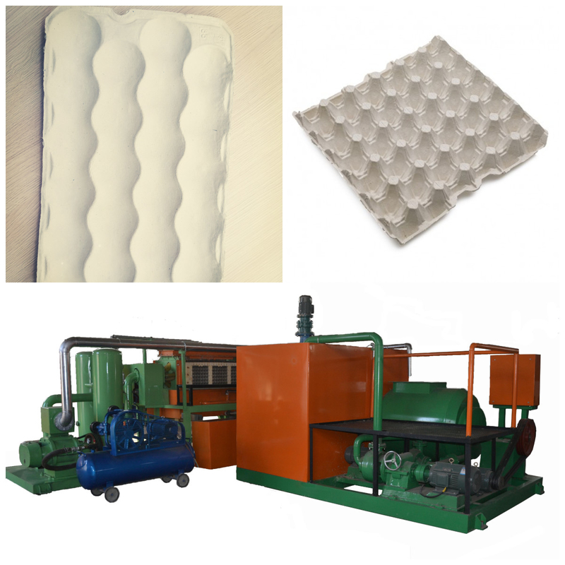 700-5000 pezzi/ora Macchine per stampaggio della polpa Dispositivo per la produzione di cartoni per uova con lavorazione dell'acciaio per una produzione senza soluzione di continuità