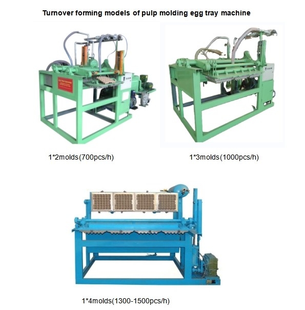 Dimensione del modello personalizzata Macchina per vassoio di uova per stampaggio di pasta di carta fonte di energia elettrica