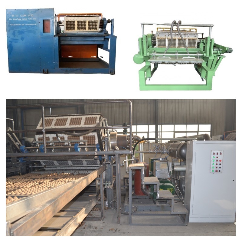 1500pcs/h-6000pcs/h Capacità macchina di stampaggio della pasta per grande capacità carta riciclabile vassoio di uova linea di produzione