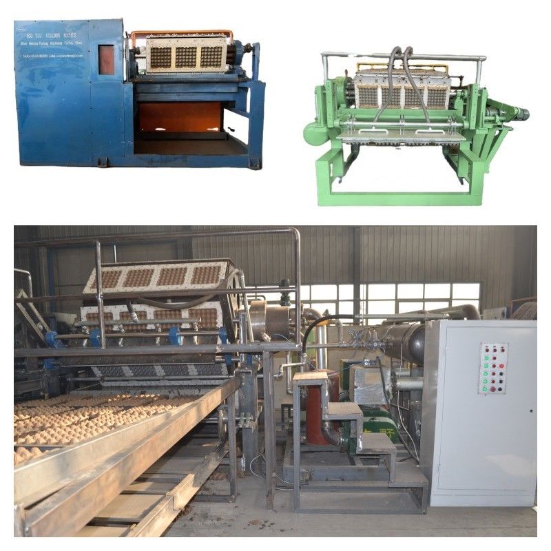 Linea di produzione completamente automatizzata di vassoi per uova con pannello di controllo intelligente e sistema di asciugatura per una maggiore produttività Macchina per la produzione di vassoi per uova Capacità 700-6000 pezzi/ora