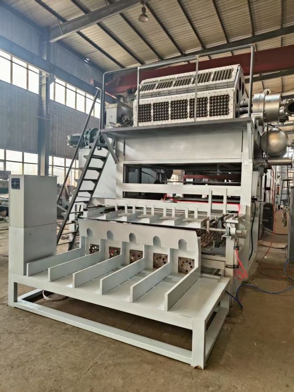 5000 pcs/h completamente automatico Capacità 5*8 stampi Modello rotativo di formazione del vassoio per uova Linea di produzione Macchina di stampaggio della pasta di carta/macchina per vassoio per uova