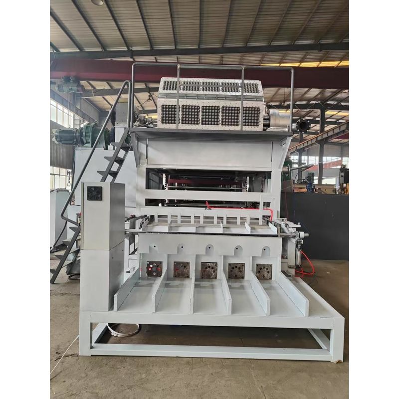5000 pcs/h di capacità completamente automatica 5*8 Stampi rotativi per modellare modello vassoio per uova linea di produzione macchina di stampaggio della pasta di carta