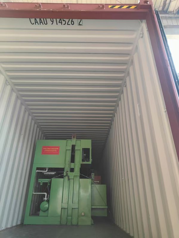 2 stampi 700 pezzi/ora Macchina per vassoi portauova in carta con stampi personalizzati Macchina per stampaggio della polpa con basso consumo energetico