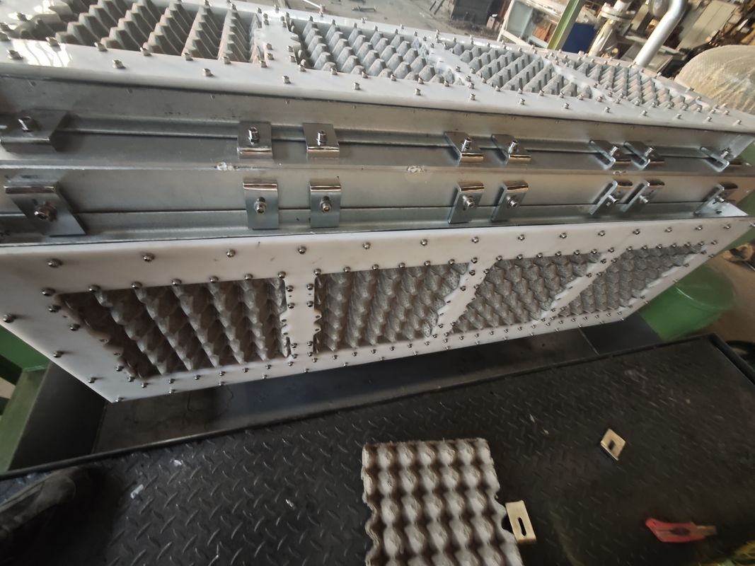 2500 pezzi/ora Macchina per vassoi portauova rotante con stampi 4*4 Controllo PLC e materiale stampo in plastica per la produzione di vassoi portauova