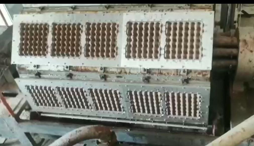 PLC controllata macchina automatica di produzione di vassoi per uova 5000-6000pcs/ora