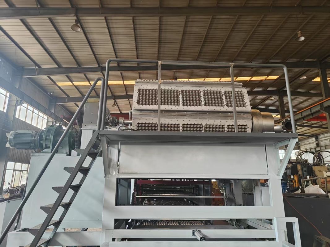 5000pcs/h Linea di produzione di vassoi rotativi per uova che incorpora la tecnologia automatica di impilamento e asciugatura per la produzione semplificata controllata da PLC