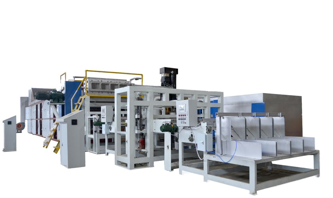 5000pcs/h Linea di produzione di vassoi rotativi per uova che incorpora la tecnologia automatica di impilamento e asciugatura per la produzione semplificata controllata da PLC