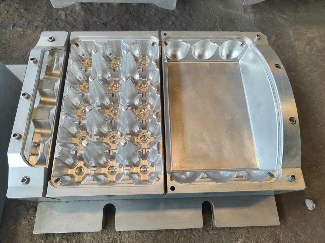 Linea di produzione di macchine a vassoio per uova completamente automatica Sistema di produzione che combina tecnologia di risparmio energetico e costruzione durevole per la produzione