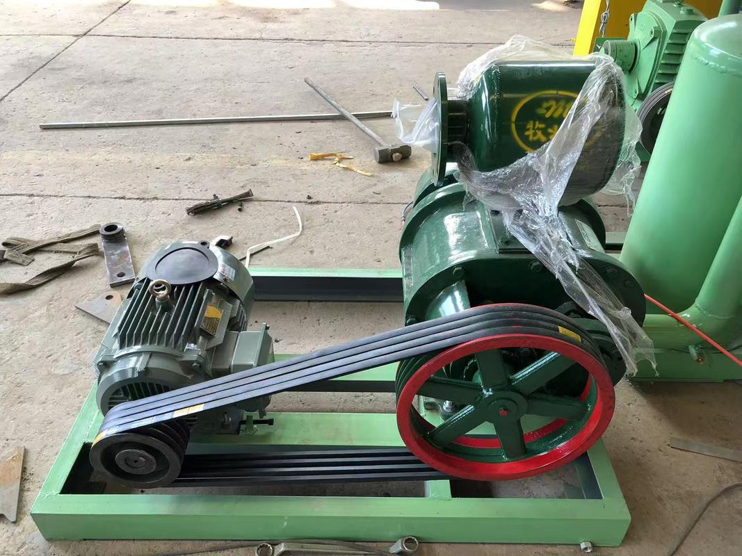 1000 pezzi/ora Macchina per vassoi per uova semiautomatica / Macchina per la produzione di vassoi per mele Struttura semplice Velocità regolabile Controllata da PLC