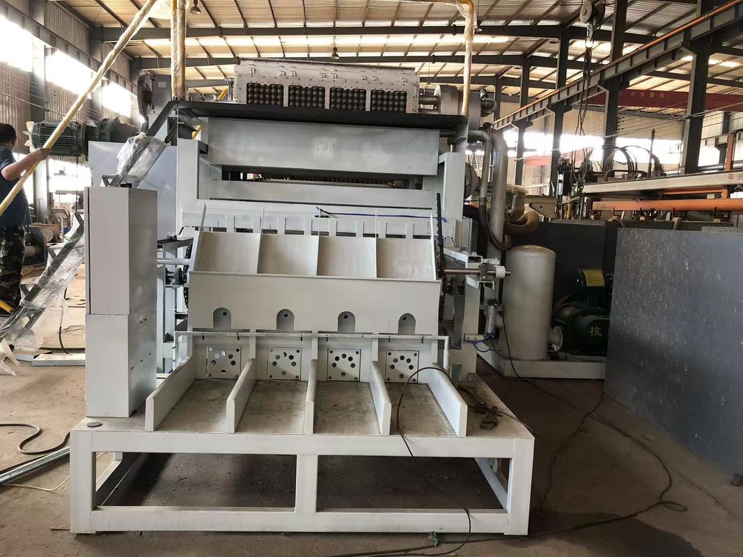 Linea di produzione di macchine a vassoio per uova completamente automatica Sistema di produzione che combina tecnologia di risparmio energetico e costruzione durevole per la produzione