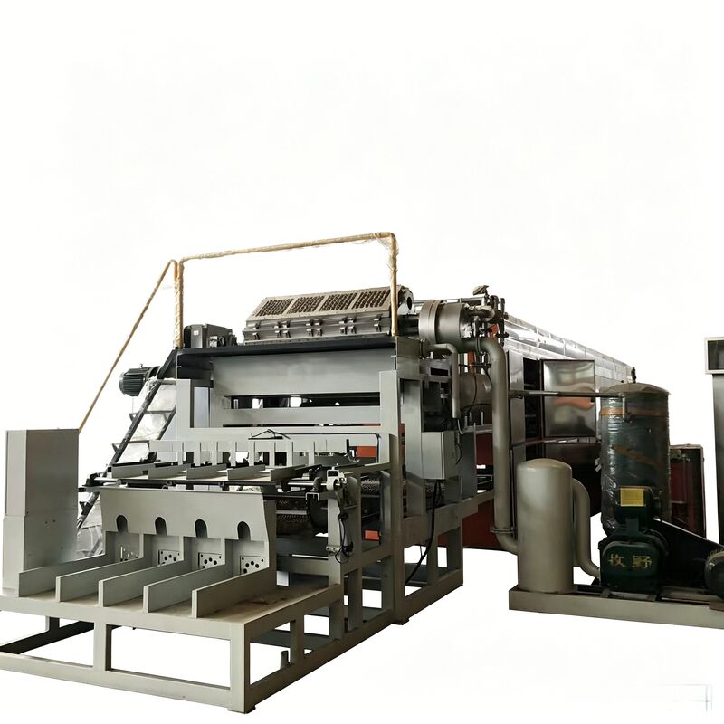 Macchina rotativa per vassoi per uova WANYOU WY-F2 con capacità di 2500-3000 pezzi / ora utilizzando pasta di carta riciclata e controllo automatico PLC