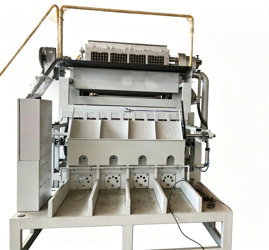 Macchina rotativa per vassoi per uova WANYOU WY-F2 con capacità di 2500-3000 pezzi / ora utilizzando pasta di carta riciclata e controllo automatico PLC