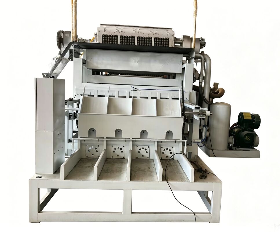 Macchina rotativa per vassoi per uova WANYOU WY-F2 con capacità di 2500-3000 pezzi / ora utilizzando pasta di carta riciclata e controllo automatico PLC