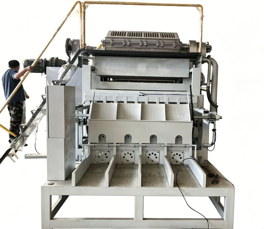 Macchina rotativa per vassoi per uova WANYOU WY-F2 con capacità di 2500-3000 pezzi / ora utilizzando pasta di carta riciclata e controllo automatico PLC