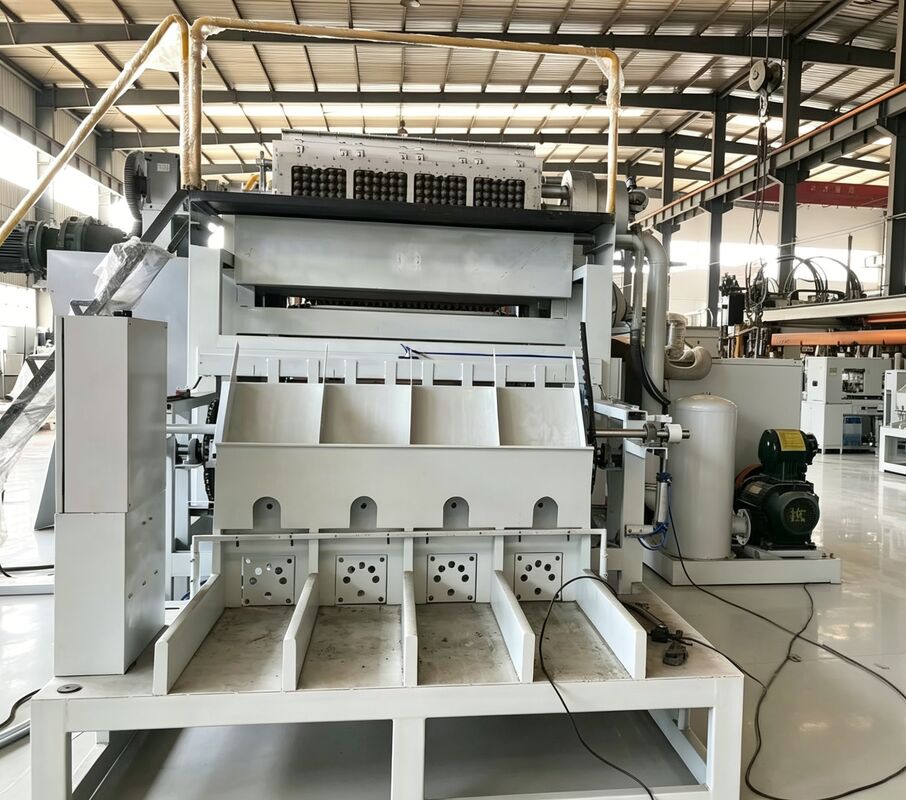 Linea di produzione ecologica di vassoi per uova in carta riciclata ecologica della macchina rotativa per vassoi per uova 2000-3000PCS/H | Attrezzature di media capacità compatte, facili da usare e stabili per fabbriche in crescita