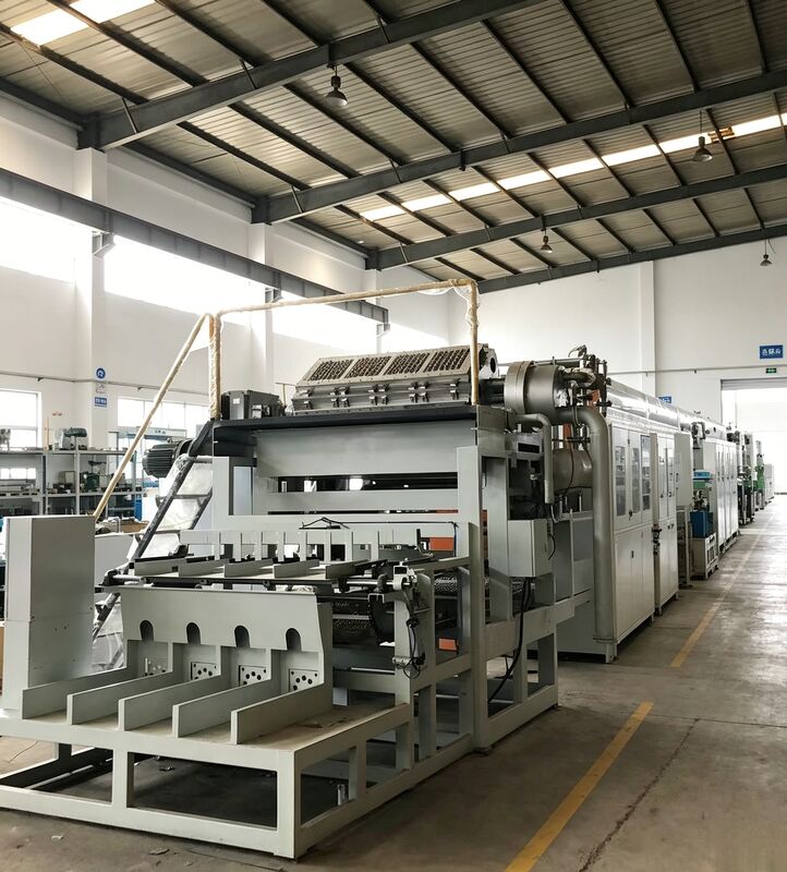 Macchina rotativa per portauova 2000-3000PCS/H | Soluzione di produzione commerciale su media scala Linea di produzione di vassoi per uova