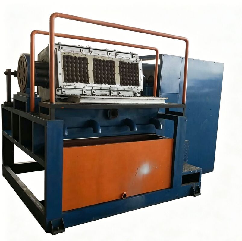 Macchina per la produzione di vassoi per uova di carta 3 x 4 rotativa Linea di produzione di muffe Compatta e facile da usare Produrre 2000 vassoi per uova all'ora