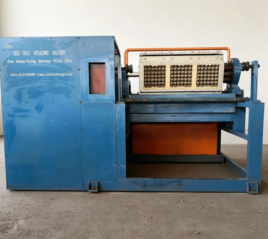 Macchina rotativa per portauova 2000-3000PCS/H | Soluzione di produzione commerciale su media scala Linea di produzione di vassoi per uova