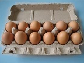 Macchina per vassoi portauova in polpa di carta di scarto Linea di produzione di cartoni per uova per l'imballaggio delle uova 350 pezzi/ora-3000 pezzi/ora