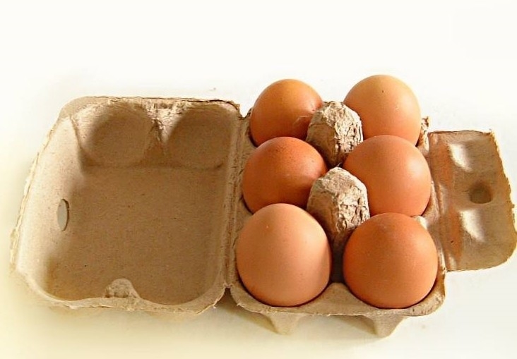 Macchina per la produzione di vassoi di frutta in carta, macchina per vassoi per uova, macchina per la produzione di cartoni per uova, macchina per lo stampaggio della polpa con manutenzione a vita