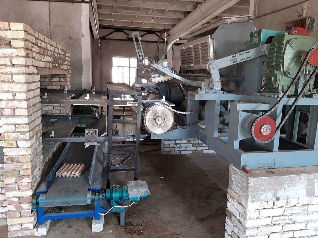 PLC controllata macchina automatica di produzione di vassoi per uova 5000-6000pcs/ora