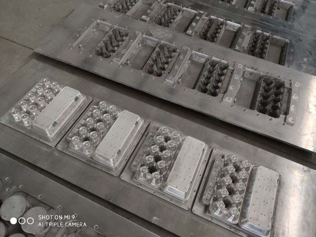 Muffa di carta della polpa della cavità della macchina 20 del vassoio dell'uovo per i prodotti modellati della polpa