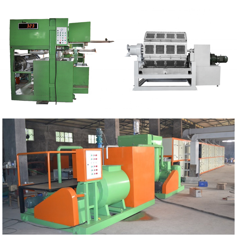 220V/380V cartapesta Tray Making Machine con le muffe di formazione di plastica dell'ABS per l'uovo Tray Apple Tray Manufacturing
