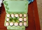 Macchina per fabbricare le scatole di cartone di carta dell'uovo installazione conveniente di piccola capacità