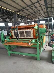 Linea di produzione professionale del vassoio dell'uovo della cartapesta, macchina automatica del vassoio dell'uovo
