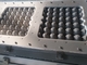 Alluminio su misura che forma le muffe per la macchina per fabbricare le scatole di cartone del vassoio/dell'uovo