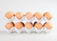 Macchina per fabbricare le scatole di cartone residua del vassoio dell'uovo della polpa per l'uovo che imballa 350pcs/h-2500pcs/h