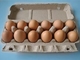 Macchina per fabbricare le scatole di cartone residua del vassoio dell'uovo della polpa per l'uovo che imballa 350pcs/h-2500pcs/h