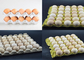 Linea di produzione rotatoria altamente efficiente del vassoio dell'uovo con carta straccia come materia prima